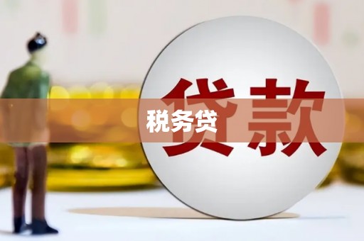 崖州税务贷