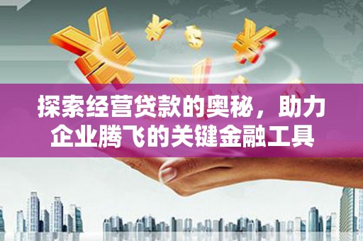 崖州探索经营贷款的奥秘，助力企业腾飞的关键金融工具