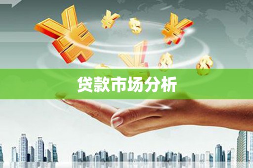 崖州贷款市场分析