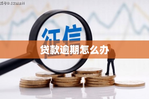 崖州贷款逾期怎么办