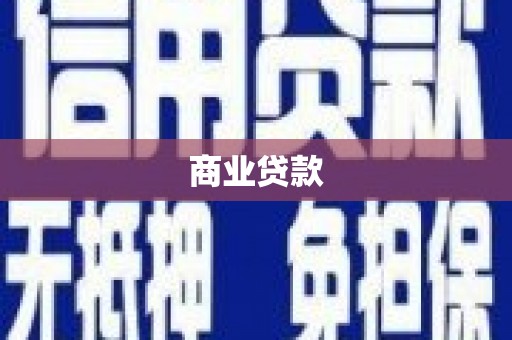 崖州商业贷款