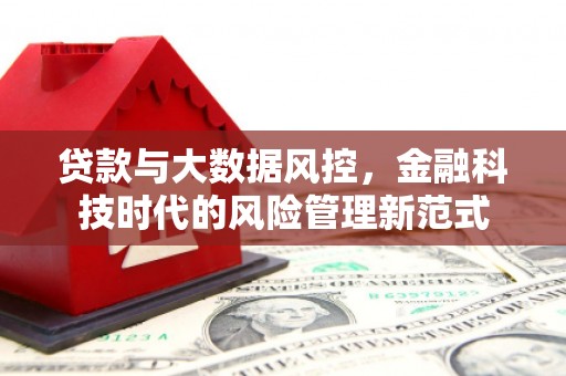 崖州贷款与大数据风控，金融科技时代的风险管理新范式