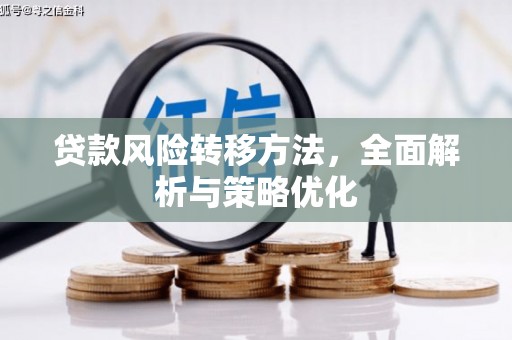 崖州贷款风险转移方法，全面解析与策略优化