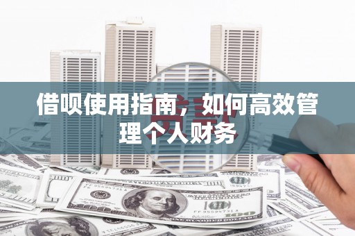 崖州借呗使用指南，如何高效管理个人财务