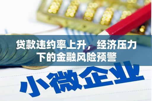 崖州贷款违约率上升，经济压力下的金融风险预警
