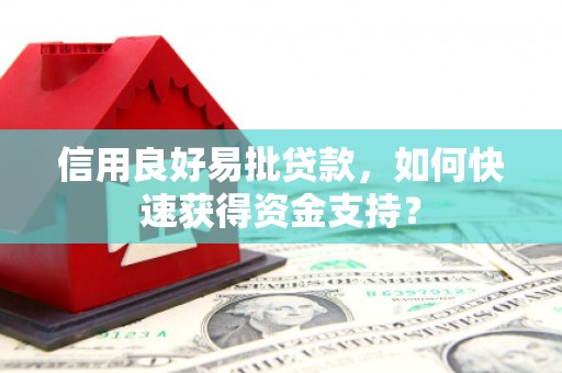 崖州信用良好易批贷款，如何快速获得资金支持？