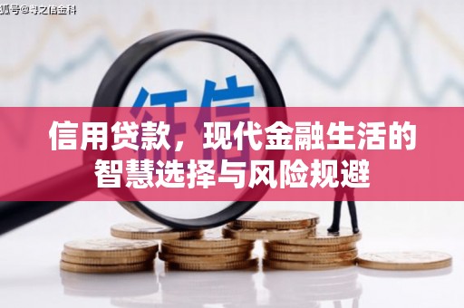 崖州信用贷款，现代金融生活的智慧选择与风险规避