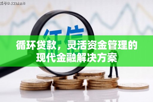 崖州循环贷款，灵活资金管理的现代金融解决方案