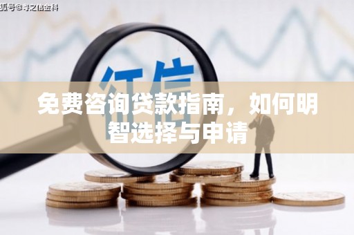 崖州免费咨询贷款指南，如何明智选择与申请