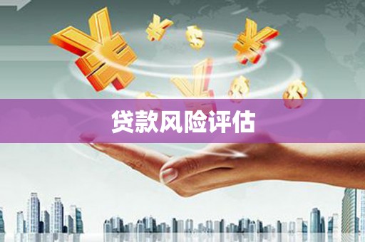 崖州贷款风险评估