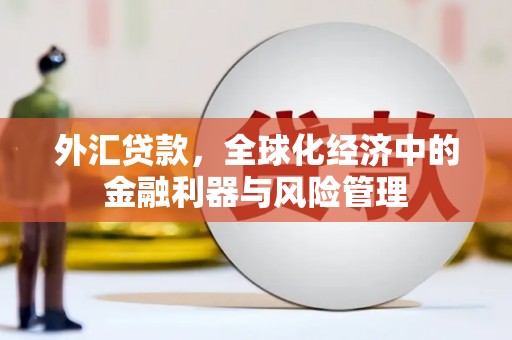 崖州外汇贷款，全球化经济中的金融利器与风险管理