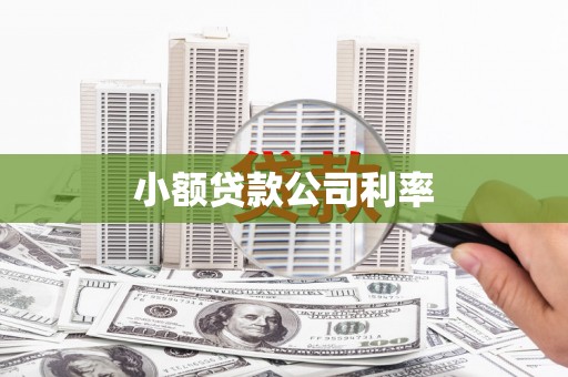 崖州小额贷款公司利率