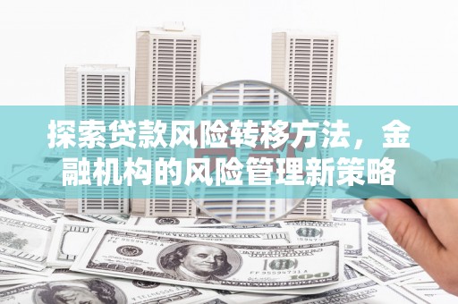 崖州探索贷款风险转移方法，金融机构的风险管理新策略