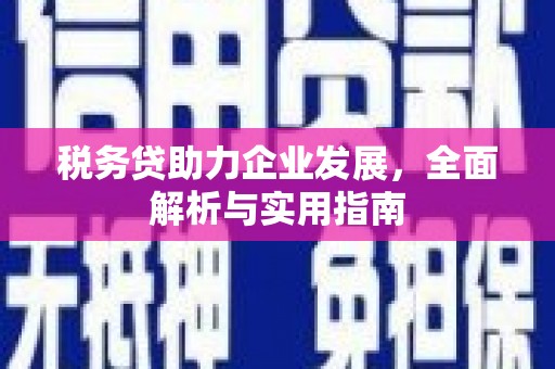 崖州税务贷助力企业发展，全面解析与实用指南