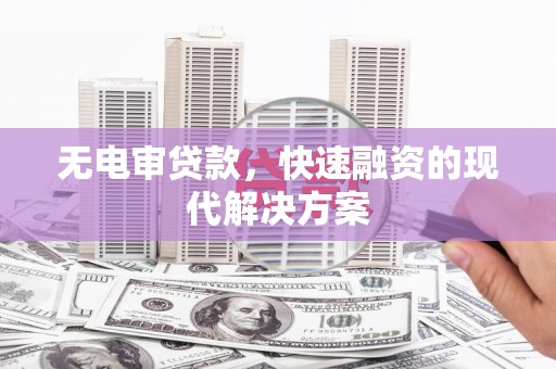 崖州无电审贷款，快速融资的现代解决方案