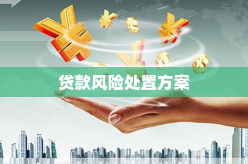 崖州贷款风险处置方案