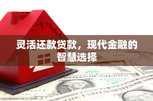 崖州灵活还款贷款，现代金融的智慧选择