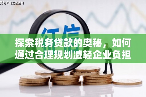 崖州探索税务贷款的奥秘，如何通过合理规划减轻企业负担