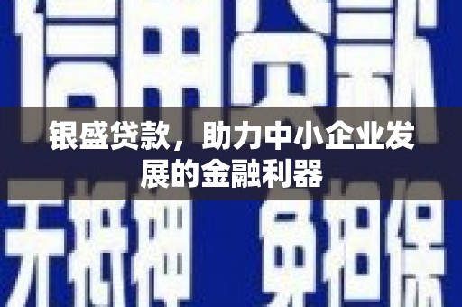 崖州银盛贷款，助力中小企业发展的金融利器