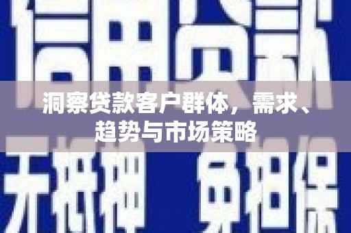 崖州洞察贷款客户群体，需求、趋势与市场策略