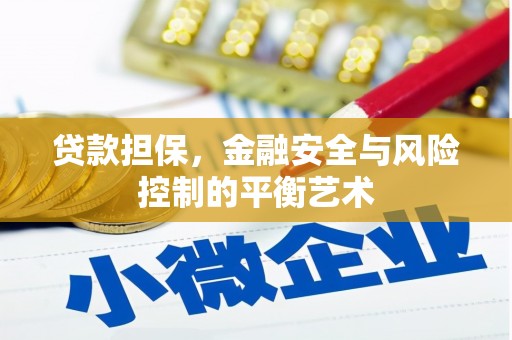 崖州贷款担保，金融安全与风险控制的平衡艺术