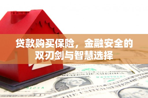 崖州贷款购买保险，金融安全的双刃剑与智慧选择