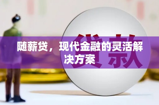 崖州随薪贷，现代金融的灵活解决方案