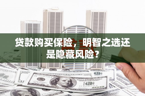 崖州贷款购买保险，明智之选还是隐藏风险？