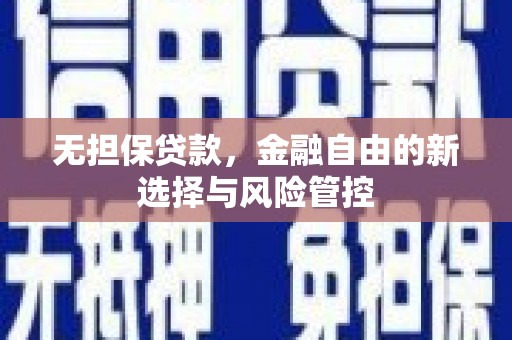 崖州无担保贷款，金融自由的新选择与风险管控