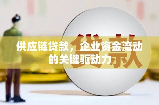 崖州供应链贷款，企业资金流动的关键驱动力