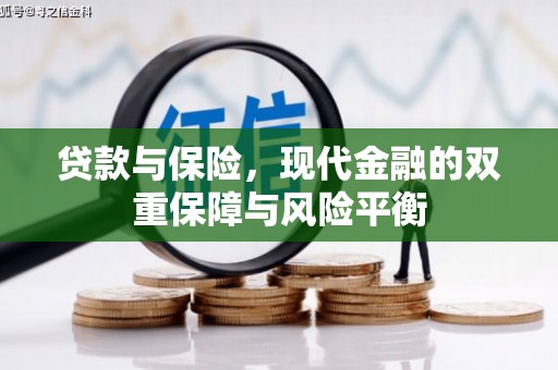 崖州贷款与保险，现代金融的双重保障与风险平衡