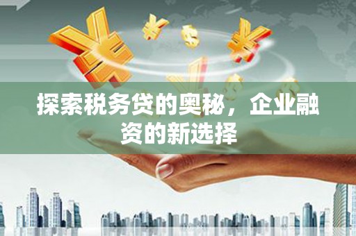 崖州探索税务贷的奥秘，企业融资的新选择