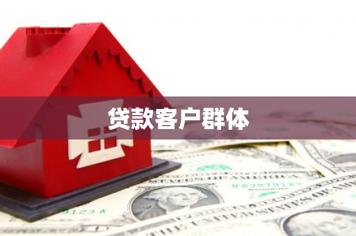 崖州贷款客户群体