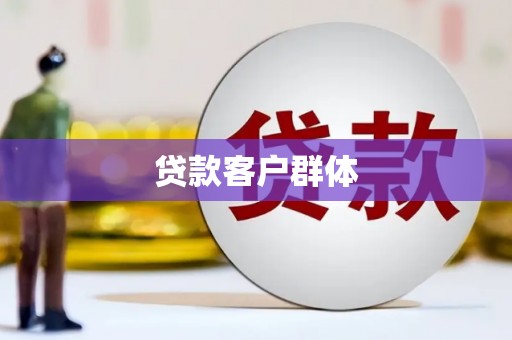 崖州贷款客户群体