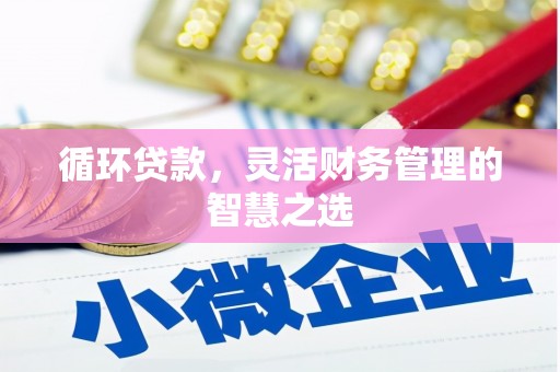 崖州循环贷款，灵活财务管理的智慧之选