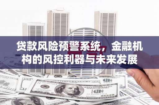 崖州贷款风险预警系统，金融机构的风控利器与未来发展