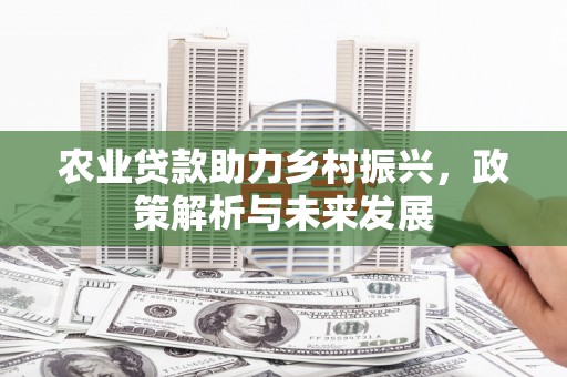 崖州农业贷款助力乡村振兴，政策解析与未来发展
