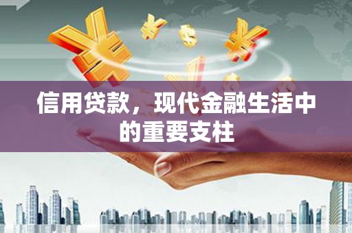 崖州信用贷款，现代金融生活中的重要支柱