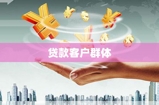 崖州贷款客户群体