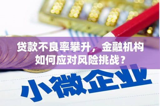 崖州贷款不良率攀升，金融机构如何应对风险挑战？