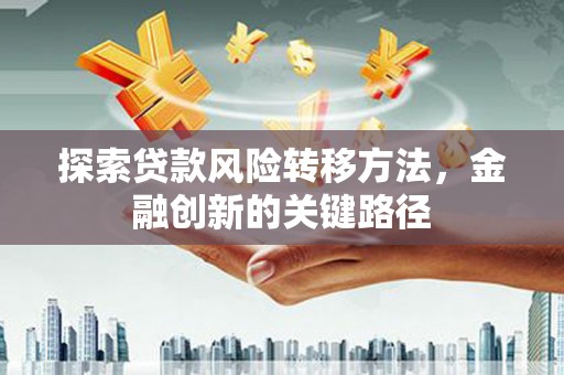 崖州探索贷款风险转移方法，金融创新的关键路径