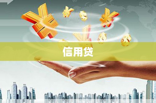 崖州信用贷