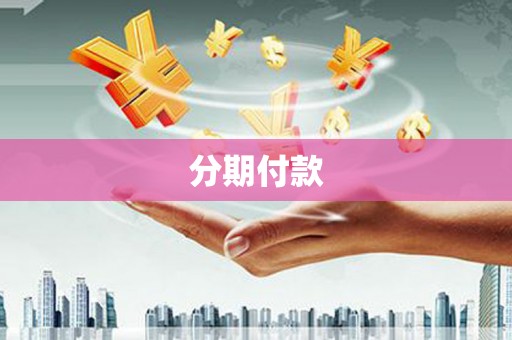 崖州分期付款
