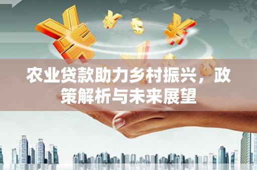 崖州农业贷款助力乡村振兴，政策解析与未来展望