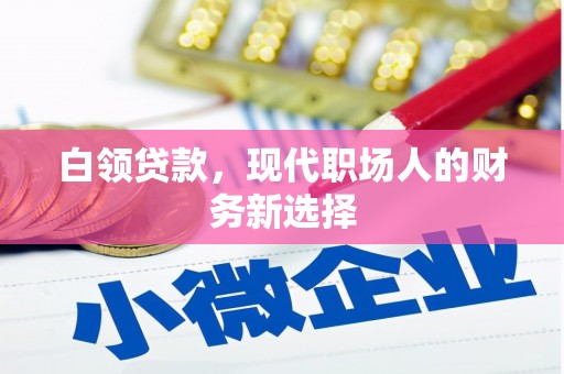 崖州白领贷款，现代职场人的财务新选择