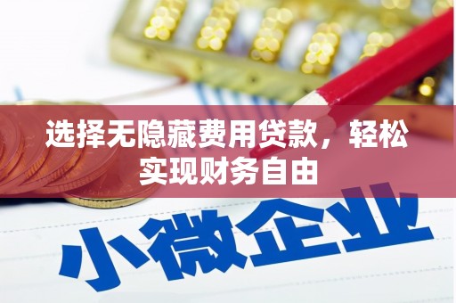 崖州选择无隐藏费用贷款，轻松实现财务自由