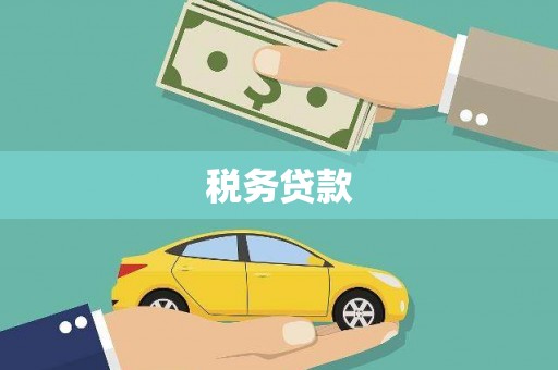 崖州税务贷款