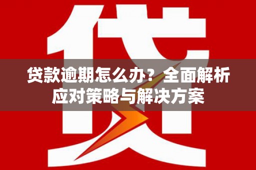 崖州贷款逾期怎么办？全面解析应对策略与解决方案