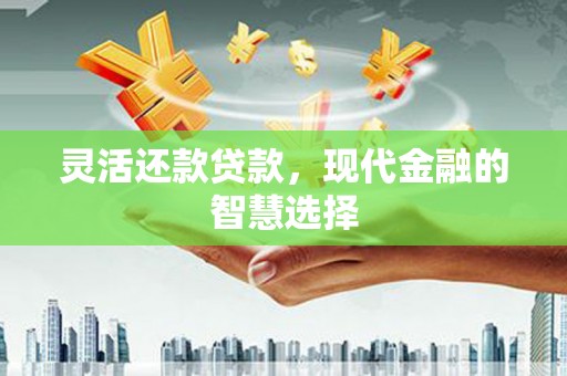 崖州灵活还款贷款，现代金融的智慧选择