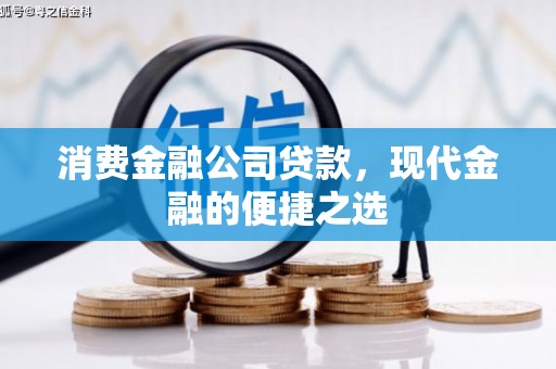 崖州消费金融公司贷款，现代金融的便捷之选